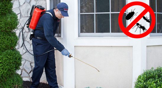 Karayazı Kene İlaçlama böcek ilaçlama ve haşere kontrolü — ilaclama-tr.com